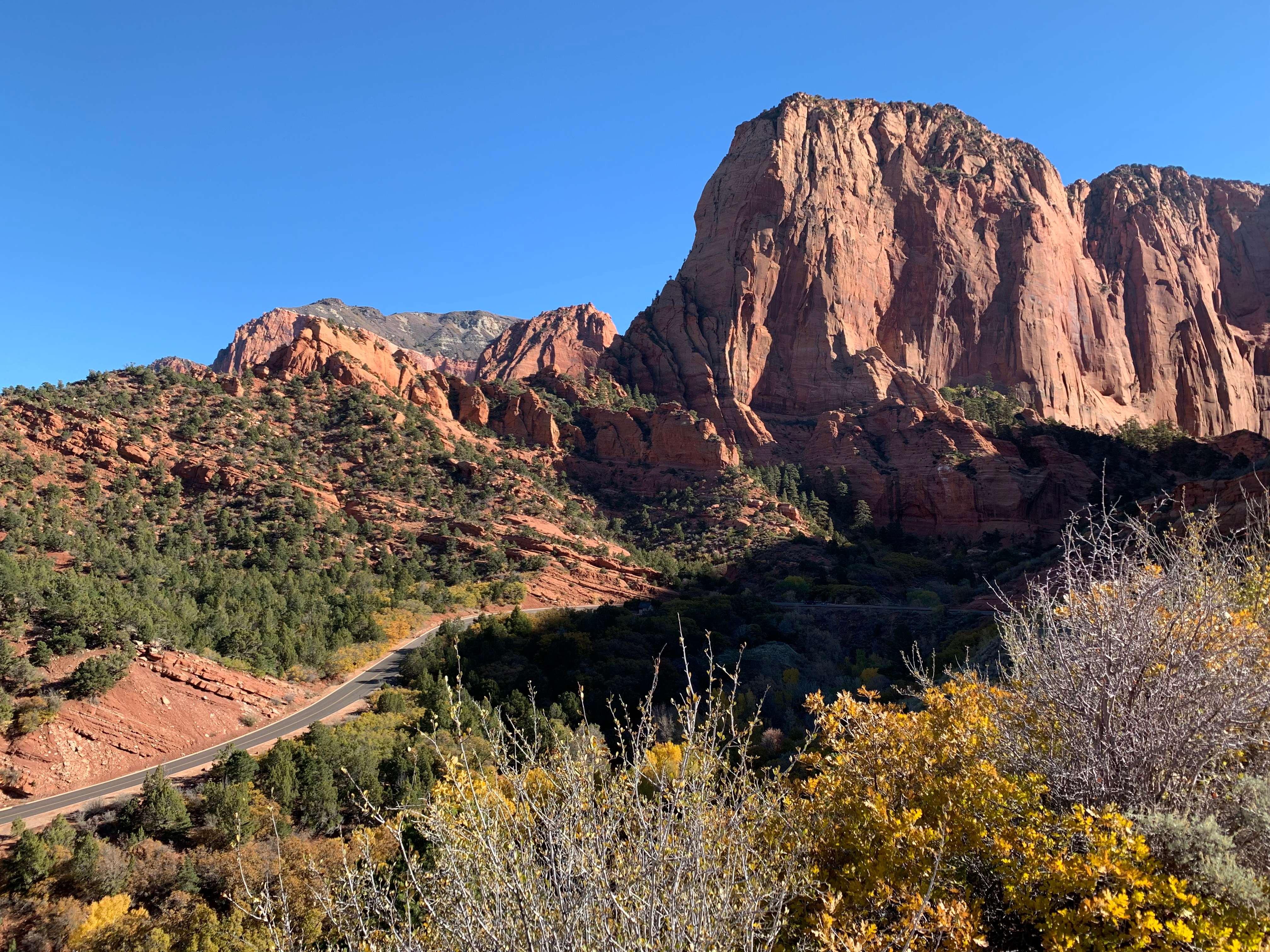 Zion NP